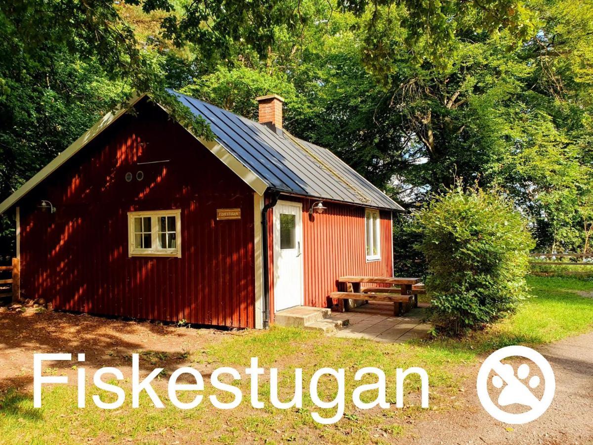 ホテルDestination Snogeholm Sjöbo エクステリア 写真